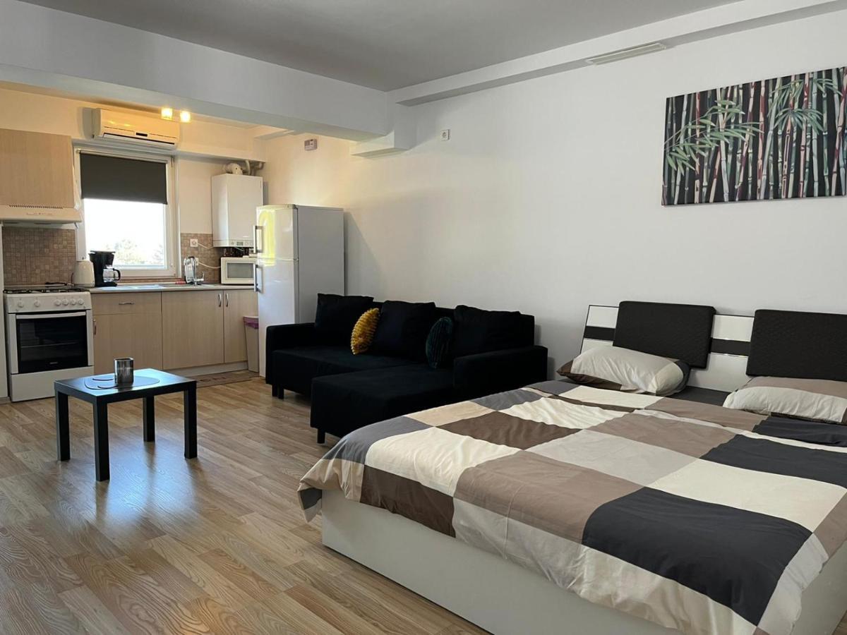 Tranzzzit Airport Apartment Отопень Екстер'єр фото